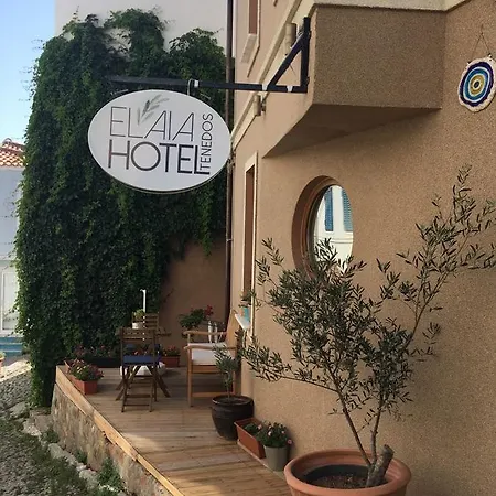Elaia * Bozcaada